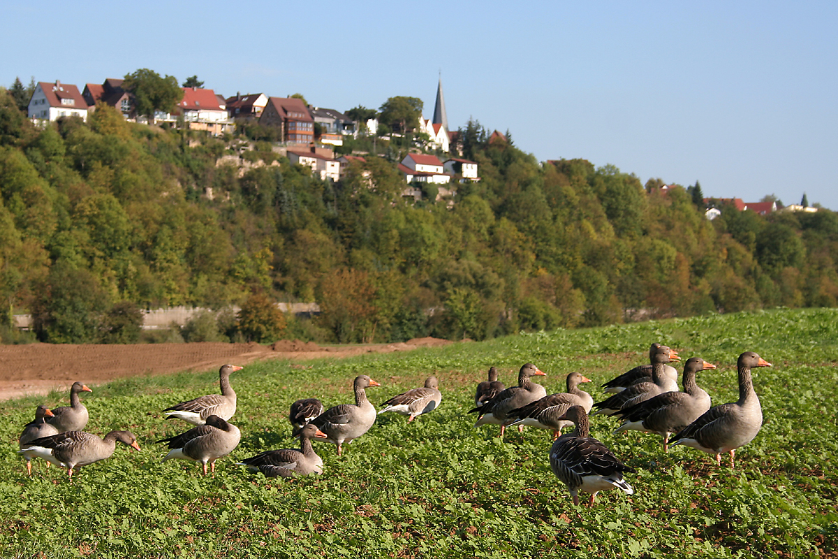 Foto des Monats - Oktober 2011