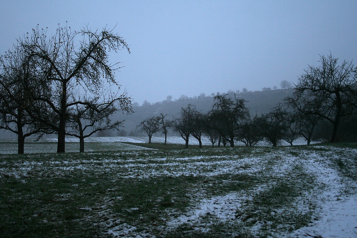 Foto des Monats - November 2012