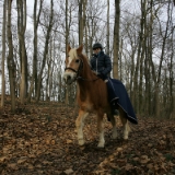 November 2014  Emily reitet immer öfter und verbringt viel Zeit bei Ihrem Pflegepferd und bei ihrer Reitbeteiligung. Neben Schule und Turnen ist das zwar ebenfalls sehr zeitintensiv, aber es macht ihr viel Spaß und sie ist wirklich glücklich, wenn sie von den Pferden kommt. Was will man mehr. Leider habe ich selten Zeit mit ihr zu gehen. Wenn ich sie aber mal begleite, helfe ich gerne beim Pferdestall misten, beim Füttern und begleite sie auch beim Ausreiten. Manchmal gehen wir beide mit dem Pferd spazieren, manchmal reitet Emily und ich gehe neben her. Das sind schöne Stunden. Die Ruhe und die Zeit mit meiner Tochter tut mir gut. Bei schönem Wetter habe ich natürlich den Foto dabei ...