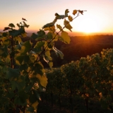 Oktober 2016  Der goldene Oktober bietet mit seinen herbstlichen Farben viele schöne Motive zum Fotografieren. Hier in der Region Stuttgart haben wir mit den Mischwäldern und den Weinbergen des Neckartals viele Möglichkeiten. Eine weitere Besonderheit sind unsere Zeugenberge wie der Hohenasperg und der Lemberg. Die durch Reliefumkehr entstandenen frei stehenden Hügel prägen auf der linken und rechten Neckarseite ebenfalls das Landschaftsbild. Ihre Südhänge werden für den Weinbau genutzt und die markanten Kuppen werden von der Sonne bis zum Untergang angestrahlt. Das lädt auch zum Verweilen ein …