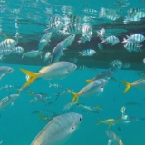 25-GOPR2276-Kasi  DCIM\105GOPRO