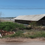 04-IMG 1569-1