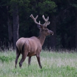 32-KASI4049-1WEB